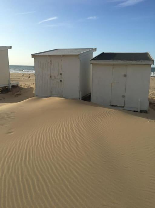 Vue Sur Dunes ! Sangatte Esterno foto