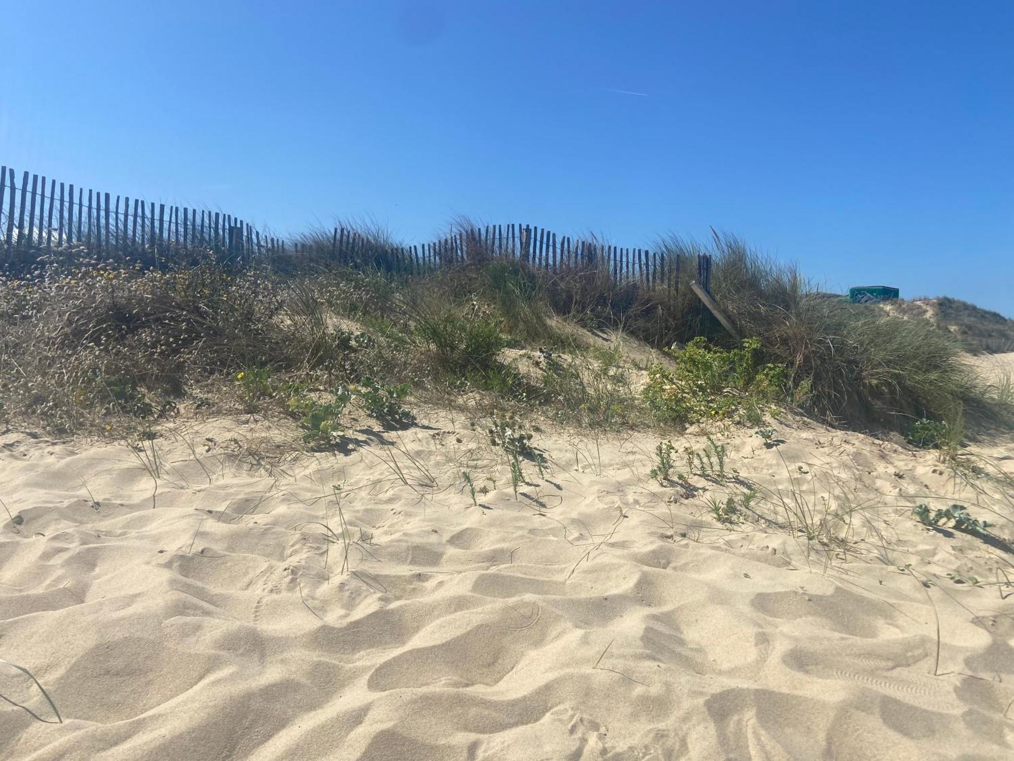 Vue Sur Dunes ! Sangatte Esterno foto